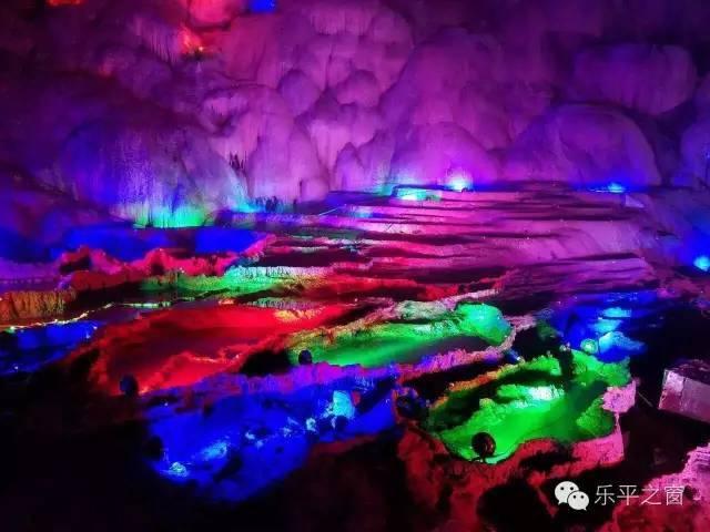 动物帮帮忙保卫家园