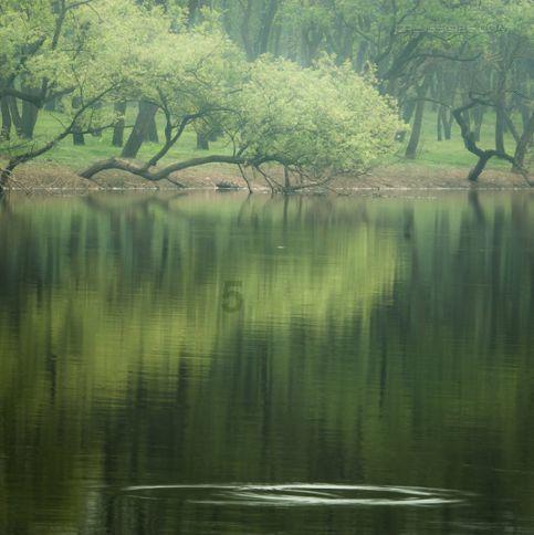 逃离森林湖畔